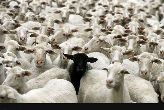 44 imagens da web