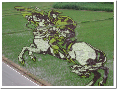 napoleon_rice_crop_art