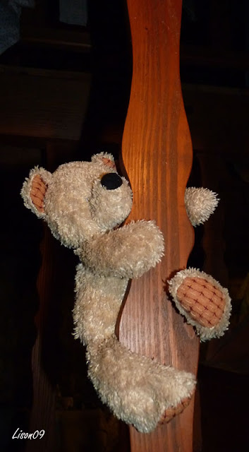 L'ours est sorti du grenier dans Actualité locale