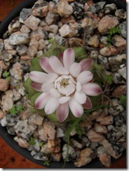 P9130344