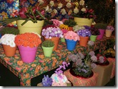 Expoflora 2009 049