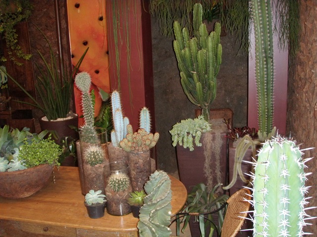 [Expoflora20090353.jpg]