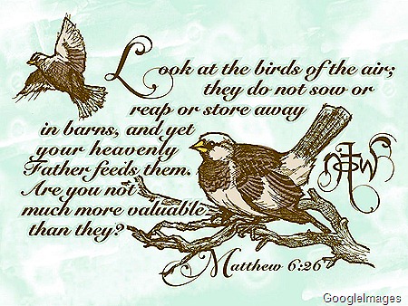 [Sparrow Scripture[13].jpg]