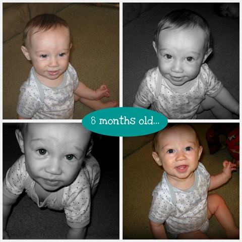 [8moscollage[8].jpg]