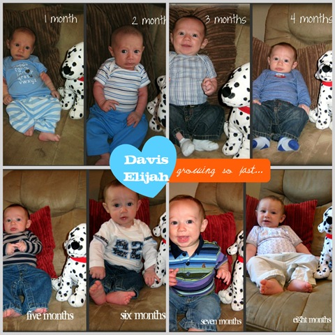 [1to8 month collage[5].jpg]