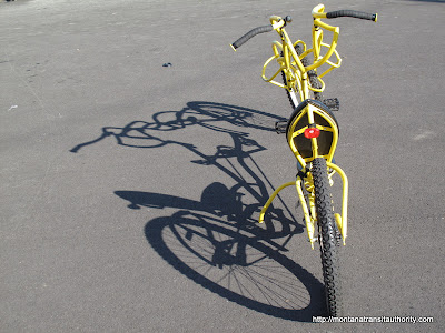 Yellow Back