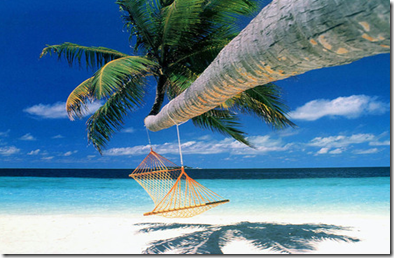 Relax - Hammock Hanging from Palm Tree