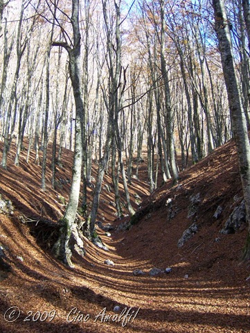 [CiaoAmalfiCoastBlogMonteFaito67.jpg]