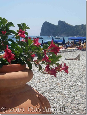 Ciao Amalfi Coast Blog Nerano Flowers