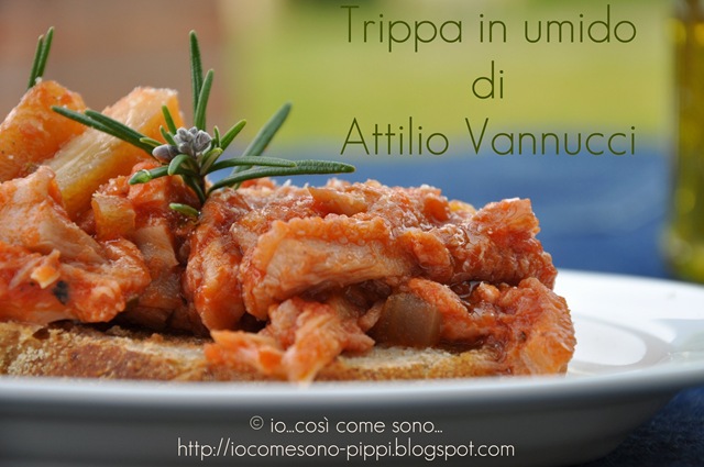 Trippa in umido di Attilio Vannucci