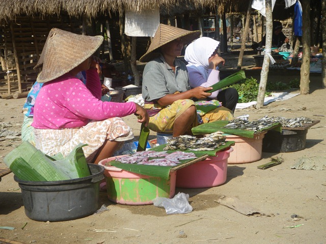 [IMGP39782.jpg]