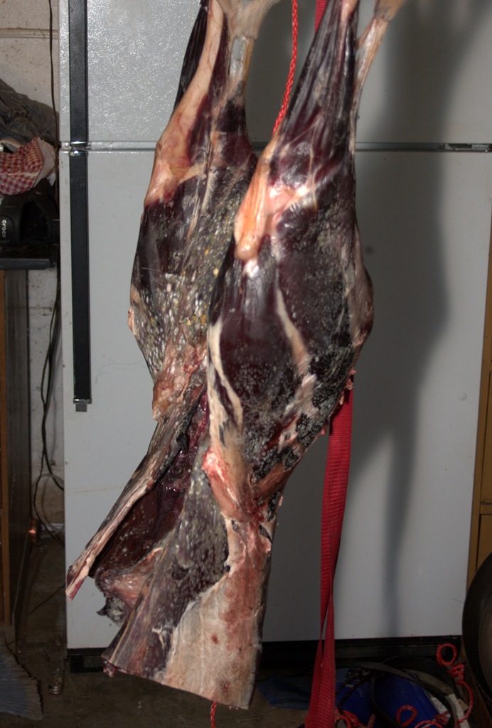 [CRW_6465.CRW[5].jpg]