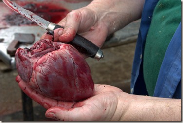 Heart