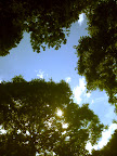 http://browneyes.posterous.com/relax-at-grove-in-temple-wsound-0 ☺ from browneyes #iPhoneography