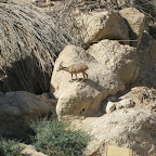 IMG_4128.JPG