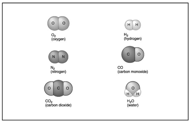 Models of various elements.