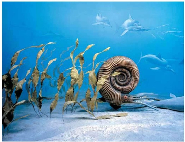 An illustration depicting what the ocean may have looked like during the Jurassic Period; present are an ammonite (Titanites anguiformis), based on fossils from Portland, Dorset, England, and ichthyosaurs (Stenopterygius sp.), based on fossils from Holtzmanaden, Germany. 