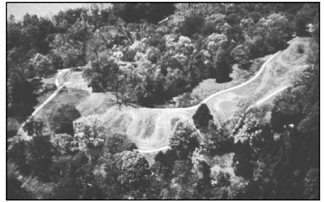 A proper perspective of Ohio's Great Serpent Mound, the emblem of Atlantean spirituality, may only be obtained from an aerial vantage point.