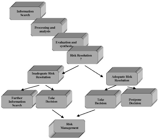 Information processing and risk resolution. Adapted from Ritchie and Marshall 