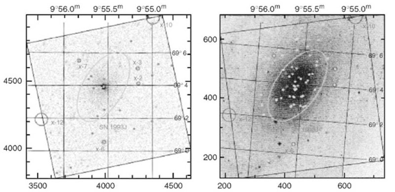 Chandra observations of M81. Left: X-ray image with contours. Right: X-ray contours on optical image.This figure is available in full color at http://www.mrw.interscience.wiley.com/ esst.