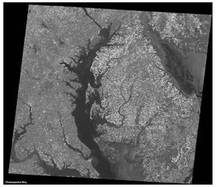 100 mile square Landsat image of Chesapeake Bay and environs. This figure is available in full color at http://www.mrw.interscience.wiley.com/esst.