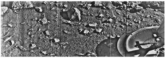 First photograph ever taken on surface of Mars, obtained by Viking 1 Lander just a few minutes after its successful touchdown on Chryse Planitia. The center of the image is about 1.4 meters (5 feet) from camera #2 of the spacecraft. Both rocks and finely granulated material—sand and dust—are observed. Many of the small foreground rocks are flat with angular facets. Several larger rocks exhibit irregular surfaces with pits and the large rock at the top left shows intersecting linear cracks. Extending from that rock toward the camera is a vertical linear dark band, which may be due to a one-minute partial obscuration of the landscape due to clouds or dust intervening between the sun and the surface. Associated with several of the rocks are apparent signs of wind transport of granular material. The large rock in the center is about 10 centimeters (4 inches) across and shows three rough facets. To its lower right is a rock near a smooth portion of the Martian surface, probably composed of very fine-grained material. It is possible that the rock was moved during the Viking 1 descent maneuvers, revealing the finer-grained basement substratum; or that the fine-grained material had accumulated adjacent to the rock. There are numerous other furrows and depressions and places with fine-grained material elsewhere in the view. At right is a portion of footpad #2. Small quantities offine-grained sand and dust are seen at the center of the footpad near the strut and were deposited at landing. The shadow to the left of the foodpad clearly exhibits detail, due to scattering of light either from the Martain atmosphere or from the spacecraft, observable because the Martian sky scatters light into shadowed areas. 