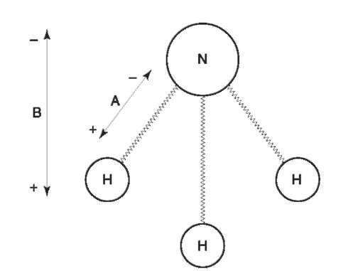 Electrical moments in the ammonia molecule. 'A' represents the electrical field resulting from unequal sharing of electrons between nitrogen and hydrogen nuclei. 'B' represents the overall field resulting from combination of three 'A' moments.