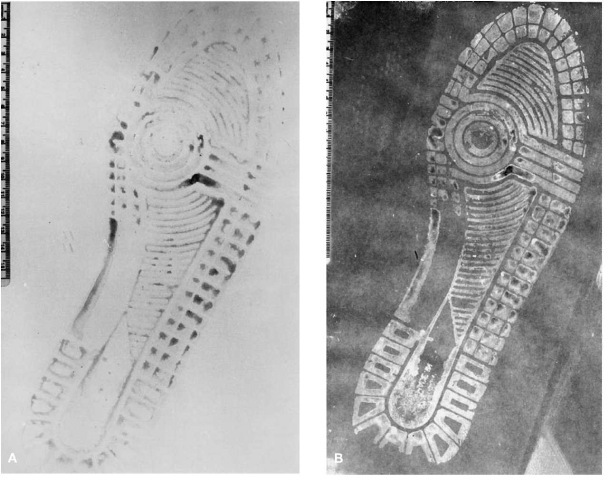 (A) A muddy print on paper before treatment. (B) The same print enhanced with DFO and photographed with an alternative light source. The print was lifted, and activated, with a black gelatin lifter. Courtesy of M J M Velders, Eindhoven, The Netherlands.