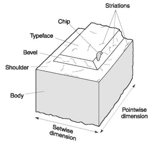 The parts of the embossing punch. This punch has a chip in the typeface and bevel, and striations on the typeface, bevel and shoulder. These individual characteristic defects are recorded on the surface of the plastic during the embossing process.