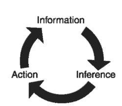 Investigation cycle giving rise to the field of investigative psychology.