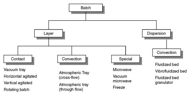 Simplified classification of batch dryers. 
