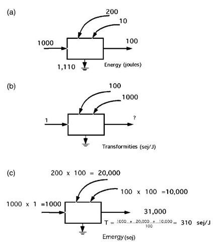 Method of calculating transformity. (a) energy flows; (b) transformity of the output is calculated by dividing the emergy of the output in c by the energy of the output in a. 