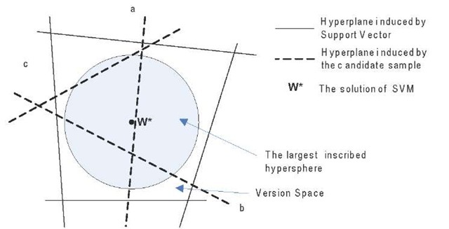 The projection of the parameter space around the Version Space 