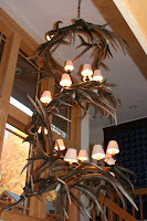 Spiral Elk Antler Żyrandole http://www.gonewildcreations.com/contact-us/
