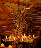Massive Elk Antler Chandeliers http://www.gonewildcreations.com/contact-us/