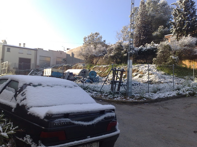 090320101224.jpg