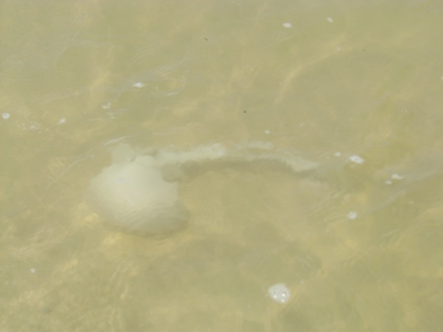 [IMG_85143.jpg]