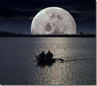 images images
