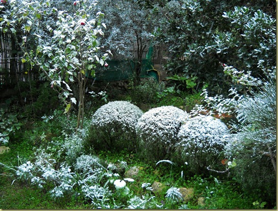 DSCN0138 DSCN0138