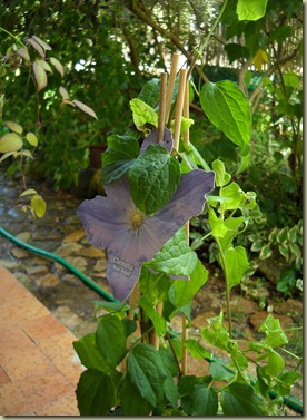DSCN5864 DSCN5864
