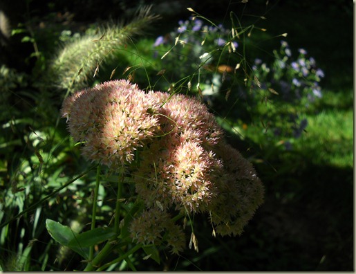 DSCN5833 DSCN5833