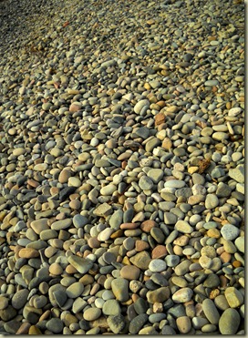 DSCN7444 DSCN7444