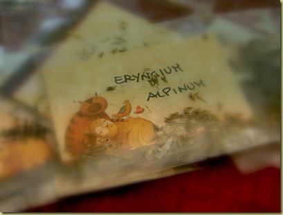 DSCN2852 DSCN2852