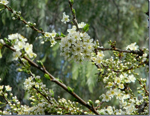 DSCN4611 DSCN4611