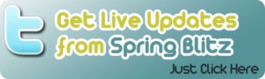 bltiz-banner[7]