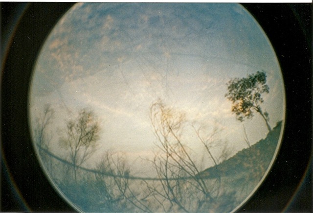 [scan0009[3].jpg]