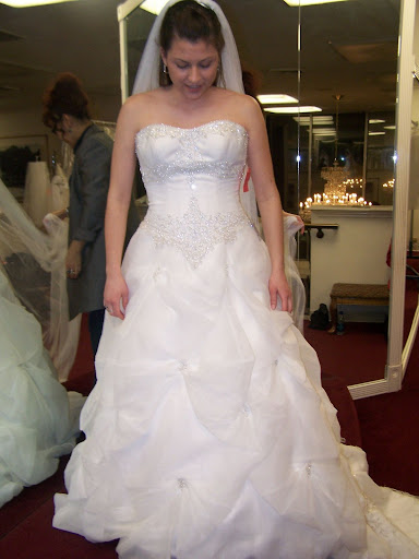 Bridal Gown 2010 Design