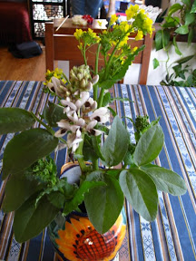 cool season bouquet (fava and rapini). The rapini is too bitter to eat so I let it flower