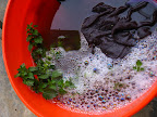 24 hours later, finished tea. 30 seconds ago, the foam was at the rim (a good sign!)