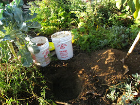The “pocket” - dug until it was hard to continue deeper (about 10-12“)